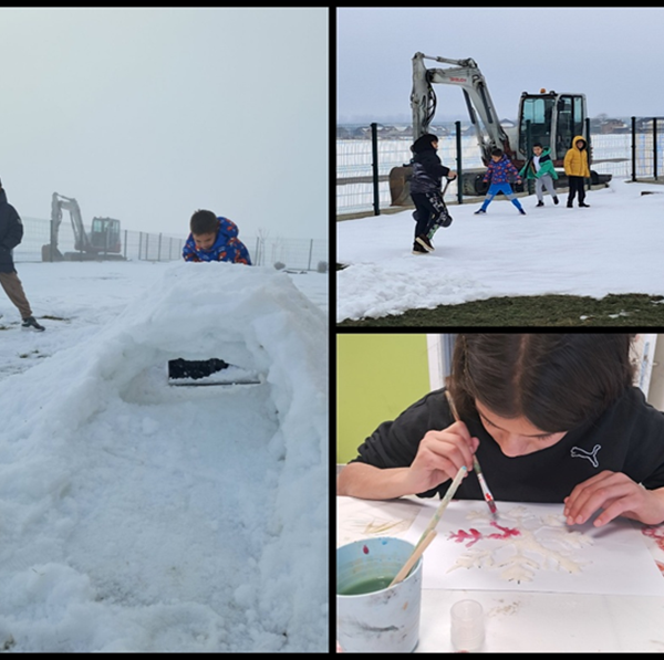 Slika 1. Zimske radosti